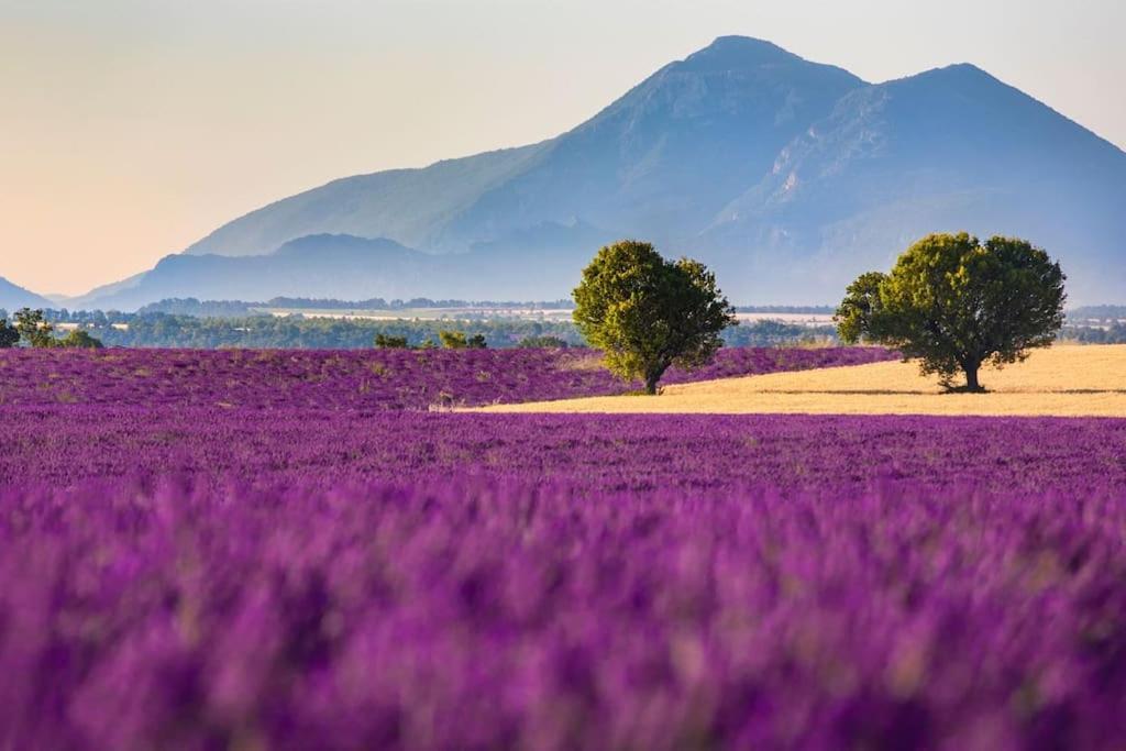 Joli T2 Jardin, Entre Mer/Verdon Salernes Luaran gambar
